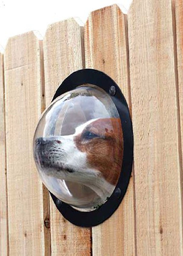 Fence Window Pet Porthole Bubble