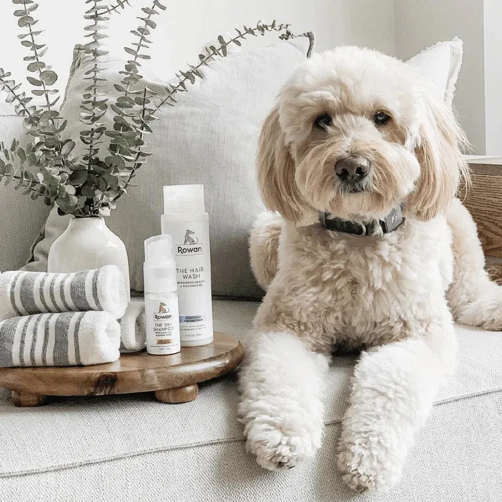 Clean Label Daily Dog Shampoo Duo